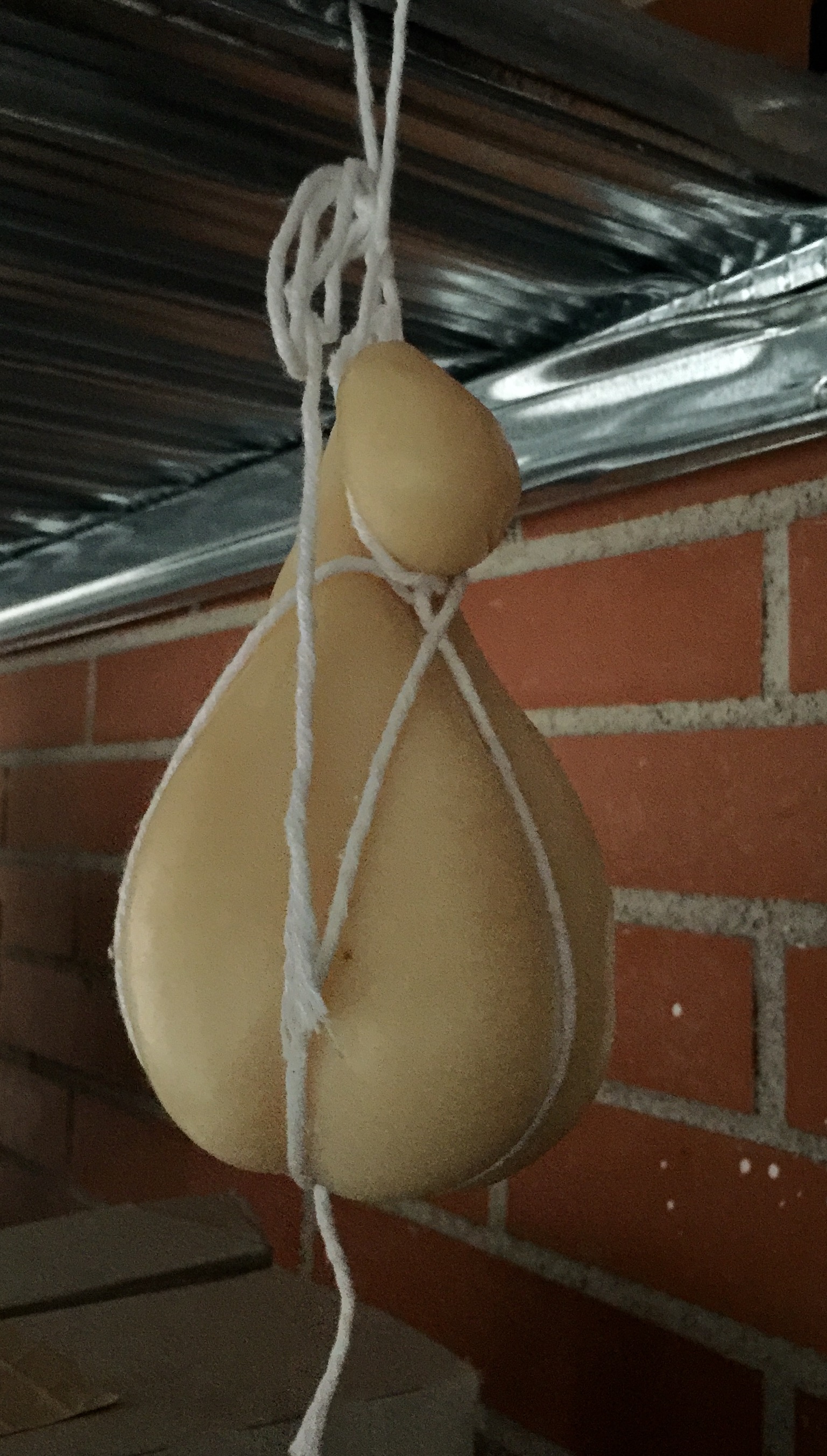 Queso Scamorza colgado madurando