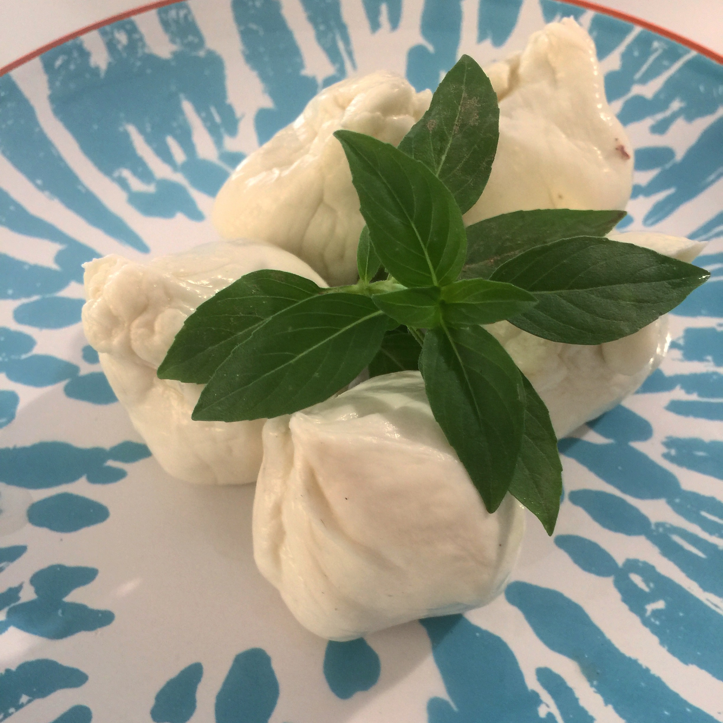 Mozzarella fresca artesanal
