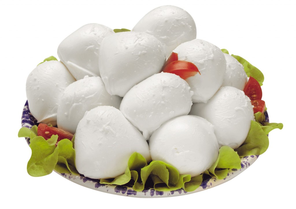 Fior di Latte de leche de vaca