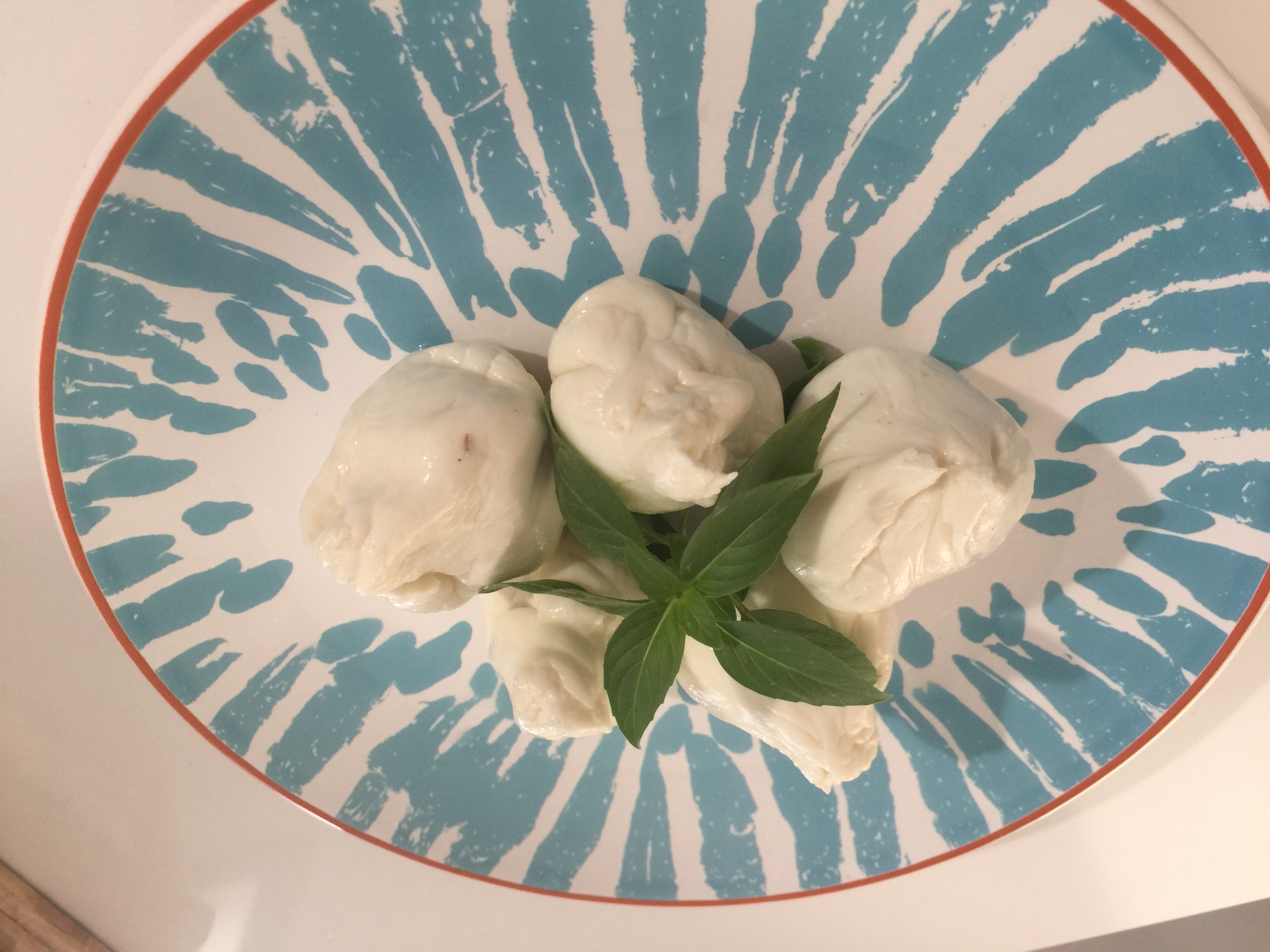 Bocconcini frescos con albahaca